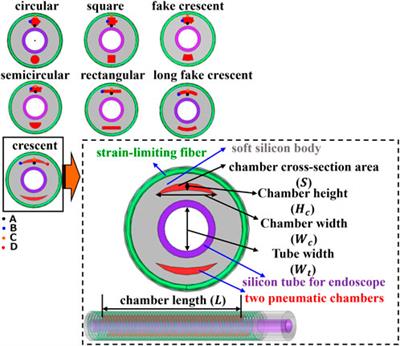 Effects of chamber shapes on maneuverability and control property of endoscope-support soft actuators